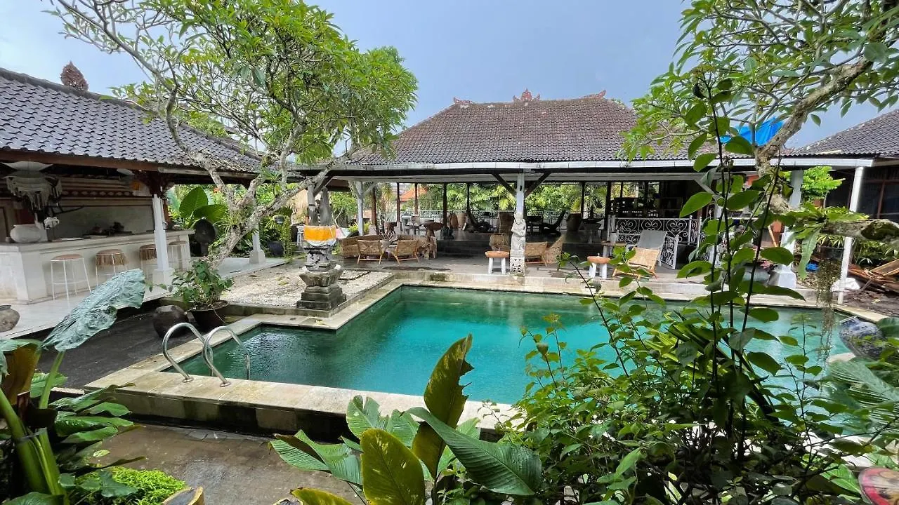 Otel Chakra Living Ubud